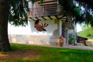 Rural houses with children, Mertxenea. Swing